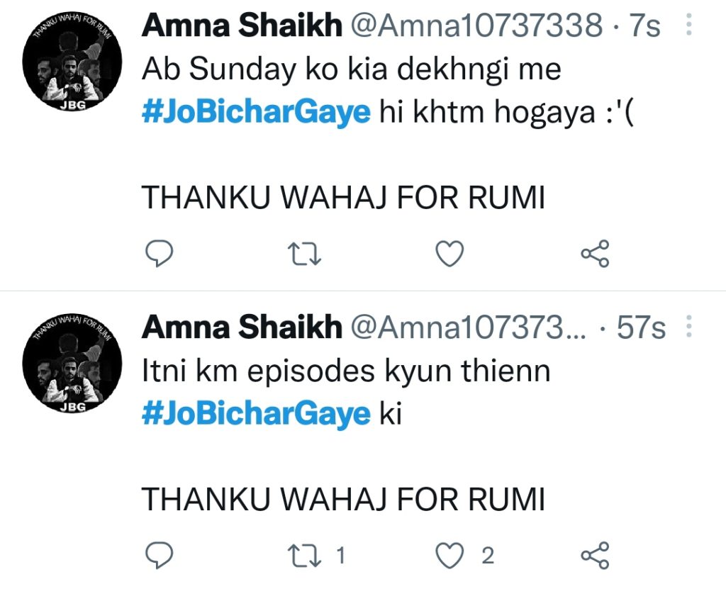 Jo Bichar Gaye Last Episode Leaves Public In Tears