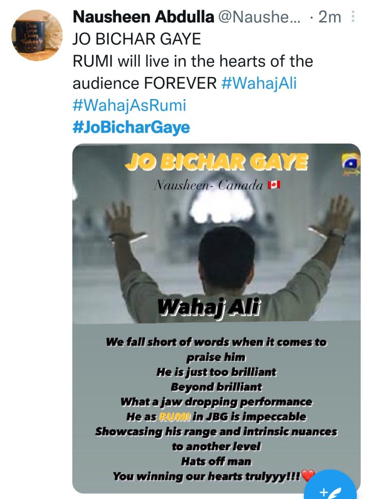 Jo Bichar Gaye Last Episode Leaves Public In Tears