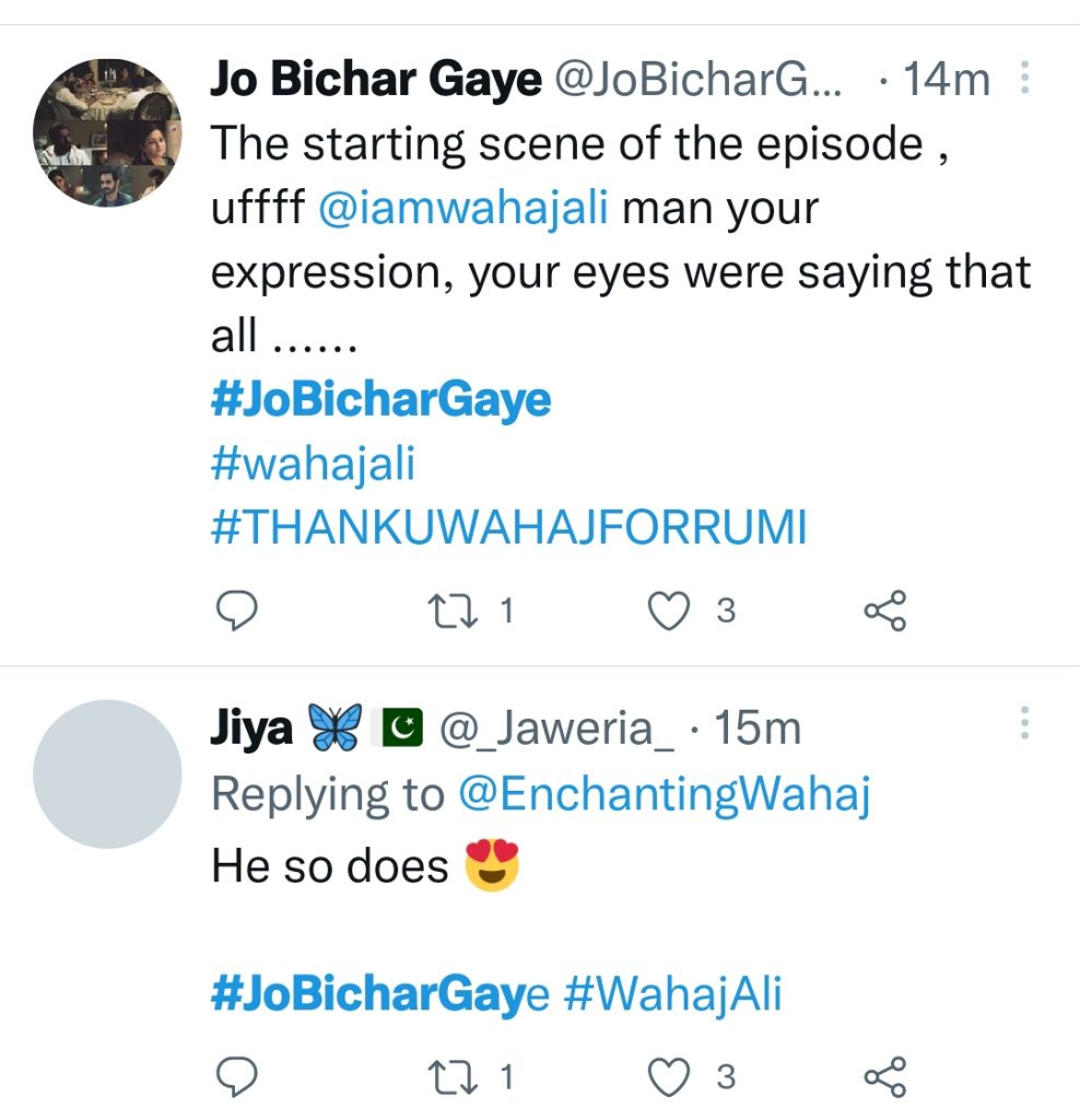 Jo Bichar Gaye Last Episode Leaves Public In Tears