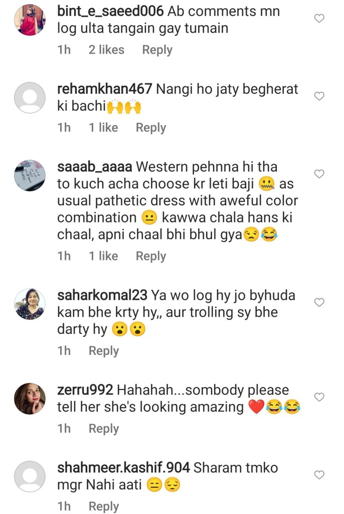 Ushna Shah's Response To Trolls Ignited Public Criticism