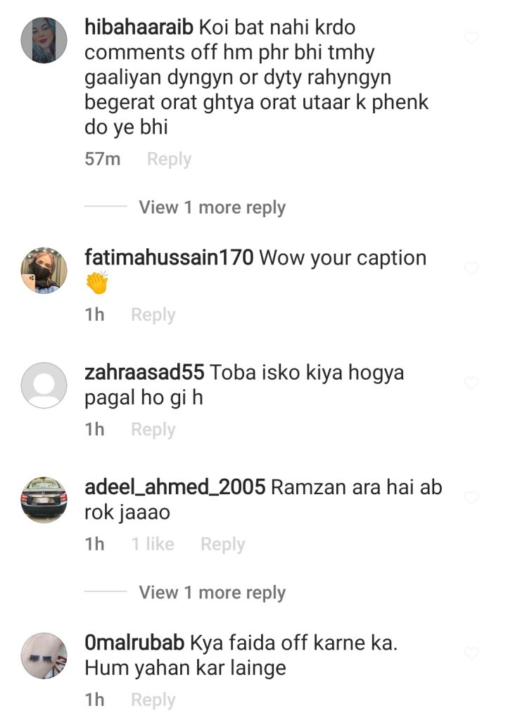 Ushna Shah's Response To Trolls Ignited Public Criticism