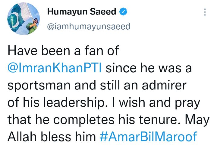 Pakistani Celebrities Come Out In Support Of PM Khan's Amar Bilmaroof Jalsa