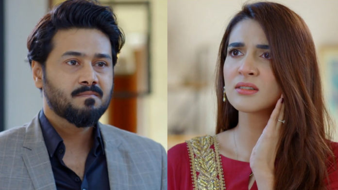 Ali Abbas And Rabab Hashim Justify Physical Abuse In “Angna”