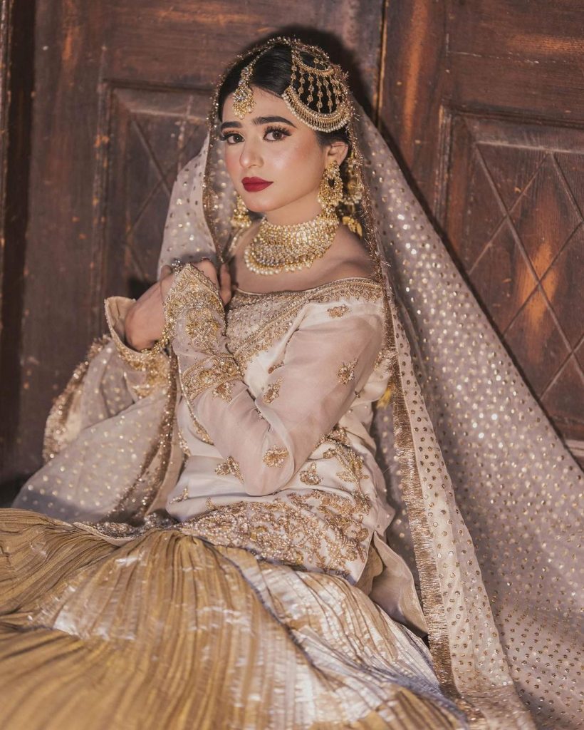 Actress Sehar Khan Flaunts Elegance In Her Latest Bridal Shoot