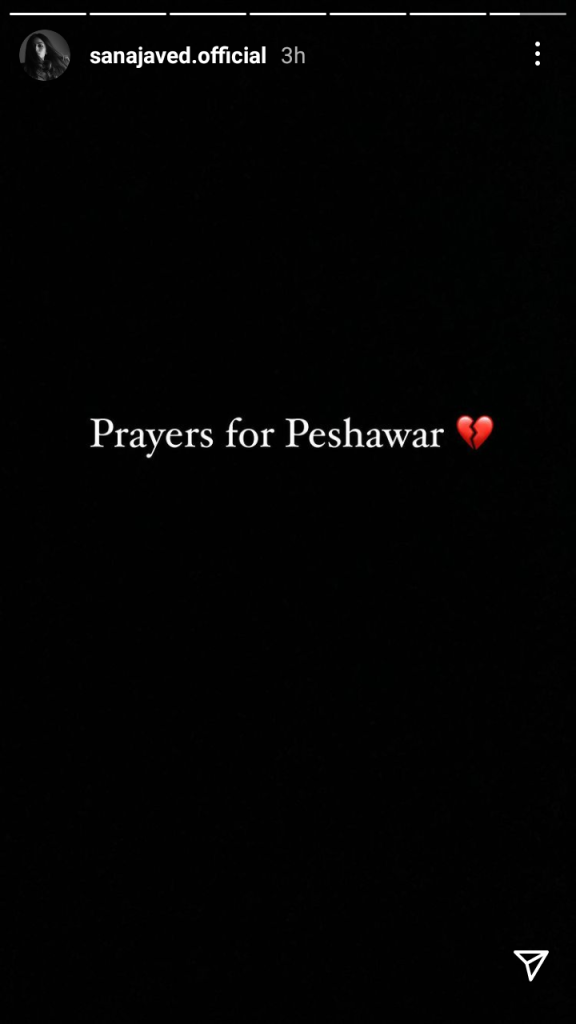 Celebrities Mourn Peshawar Attack Victims