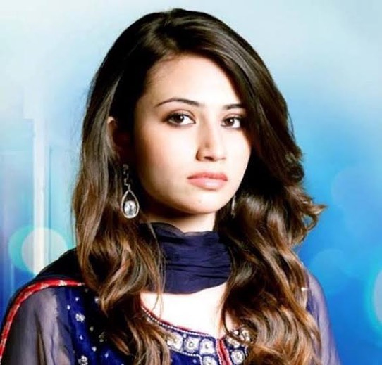 Wajid Khan Shares Terrible Experience of Working with Sana Javed