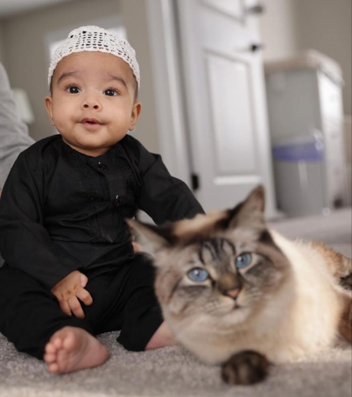 Zaid Ali And Family Beautiful Pictures From Masjid-e-Nabawi