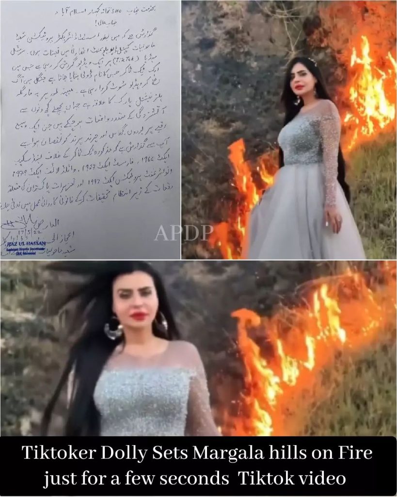 Popular Tiktoker Under Severe Criticism For Setting Margalla Hills on Fire