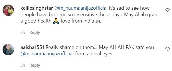 Nauman Ijaz Slams Social Media Platforms For Spreading False News