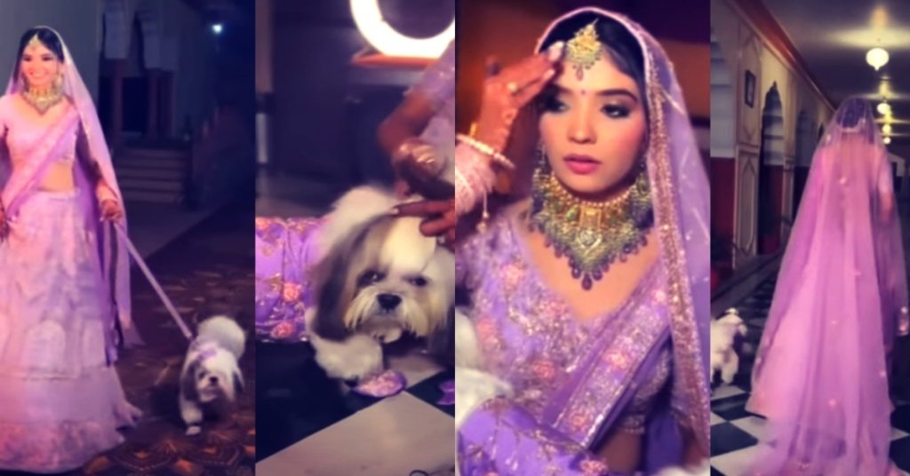 Public Criticism on Bride Twinning With Pet