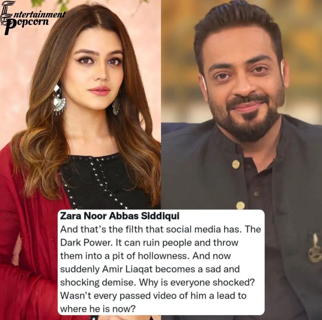 Celebrities Blame Social Media Trolls For Aamir Liaquat's Death