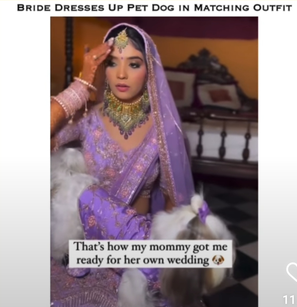 Public Criticism on Bride Twinning With Pet