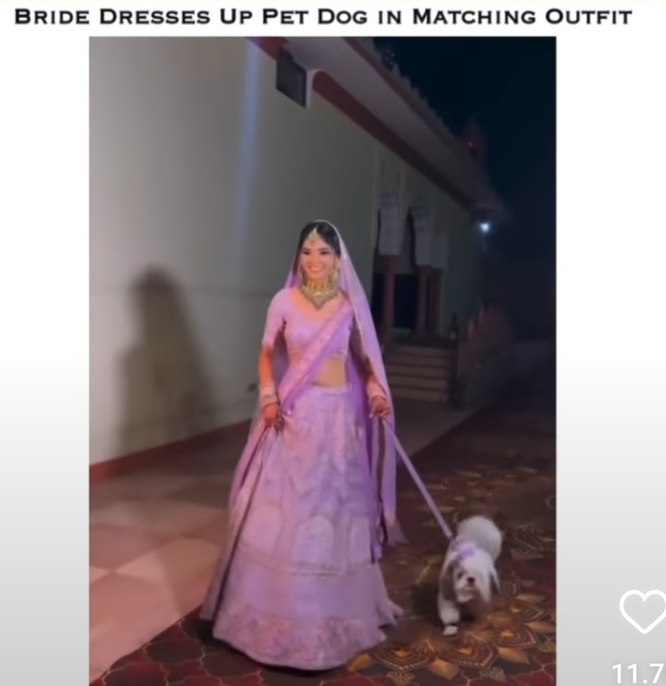 Public Criticism on Bride Twinning With Pet