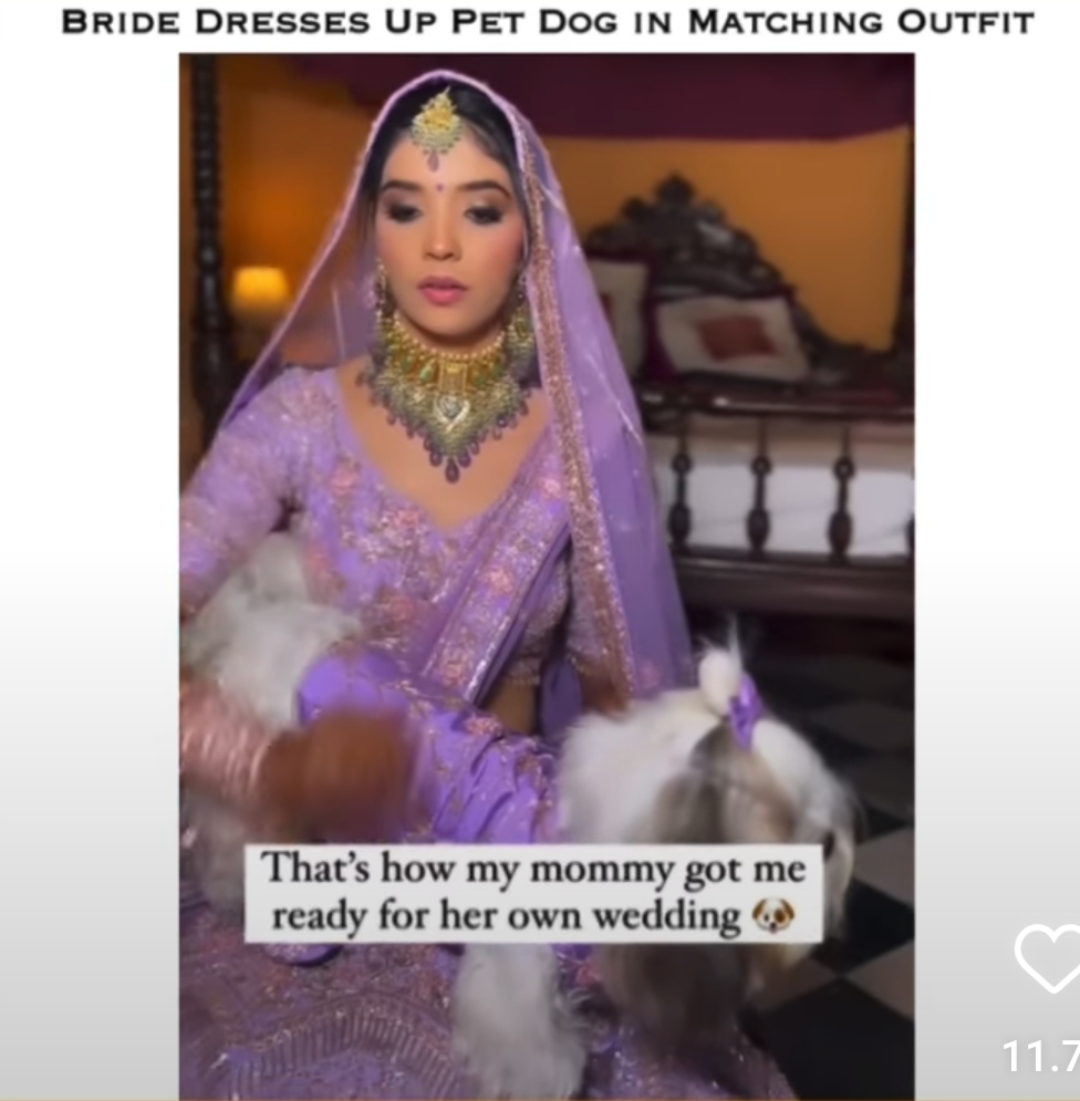 Public Criticism on Bride Twinning With Pet