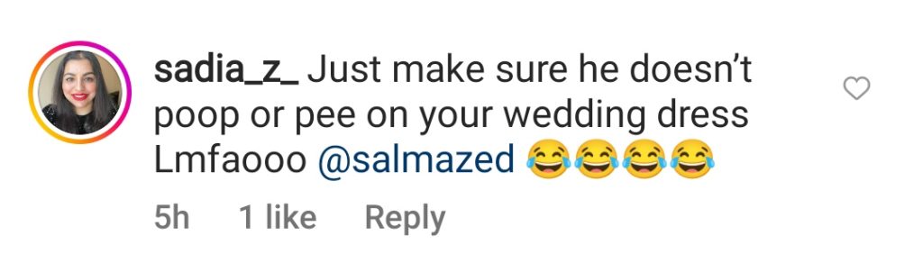 Public Criticism on Bride Twinning With Pet