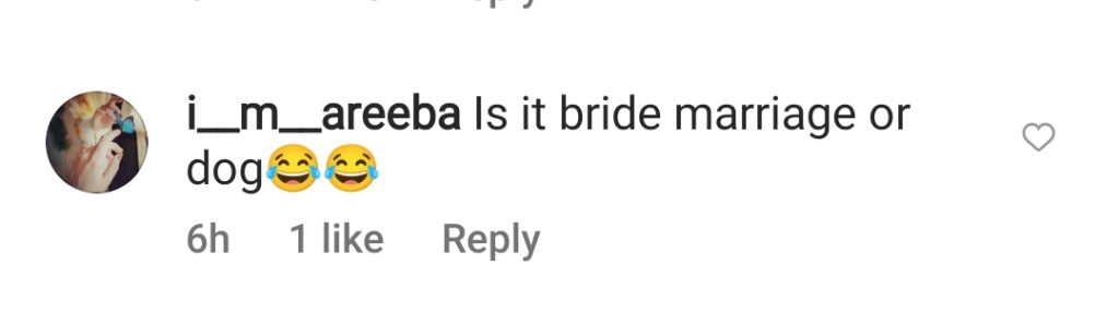 Public Criticism on Bride Twinning With Pet