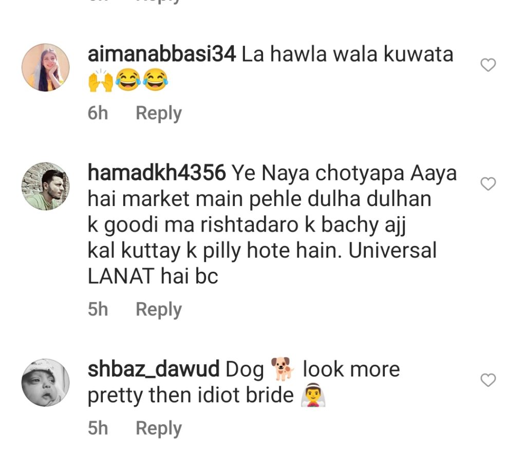 Public Criticism on Bride Twinning With Pet