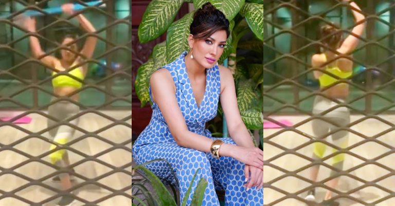 Mehwish Hayat Under Fire For Her Latest Bold Video