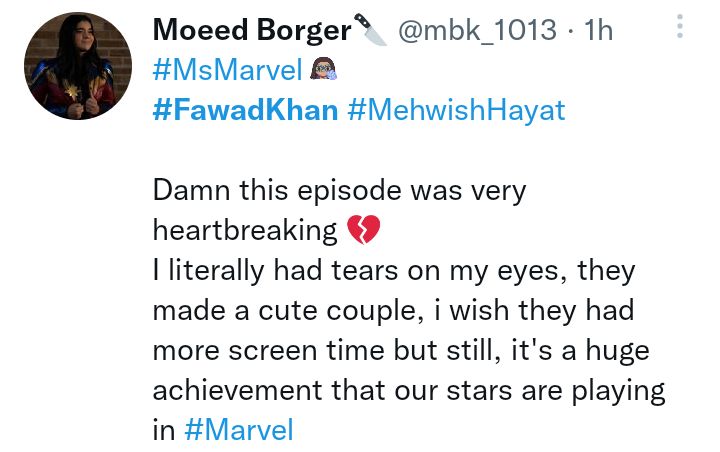 Fawad Khan And Mehwish Hayat's Chemistry In Ms Marvel Wows People