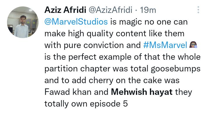 Fawad Khan And Mehwish Hayat's Chemistry In Ms Marvel Wows People