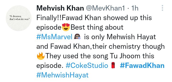 Fawad Khan And Mehwish Hayat's Chemistry In Ms Marvel Wows People