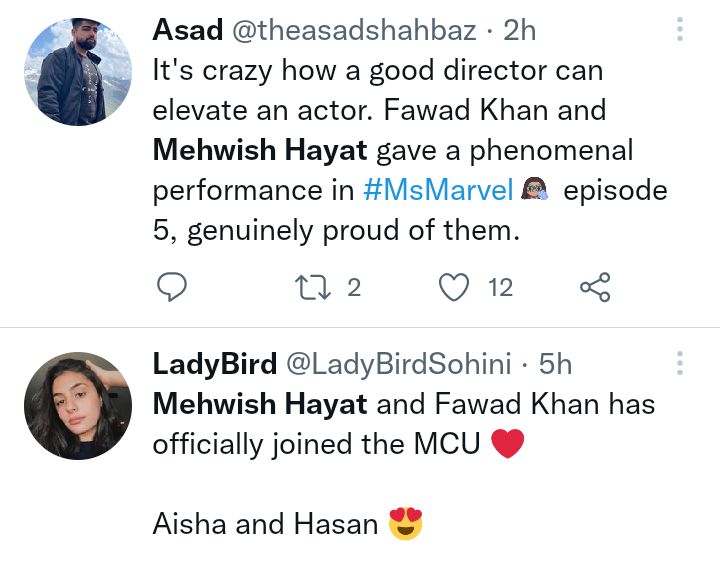 Fawad Khan And Mehwish Hayat's Chemistry In Ms Marvel Wows People