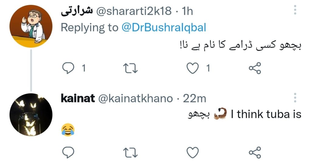 Bushra Iqbal Hints At the Real Bichoo Who Destroyed Her Happiness