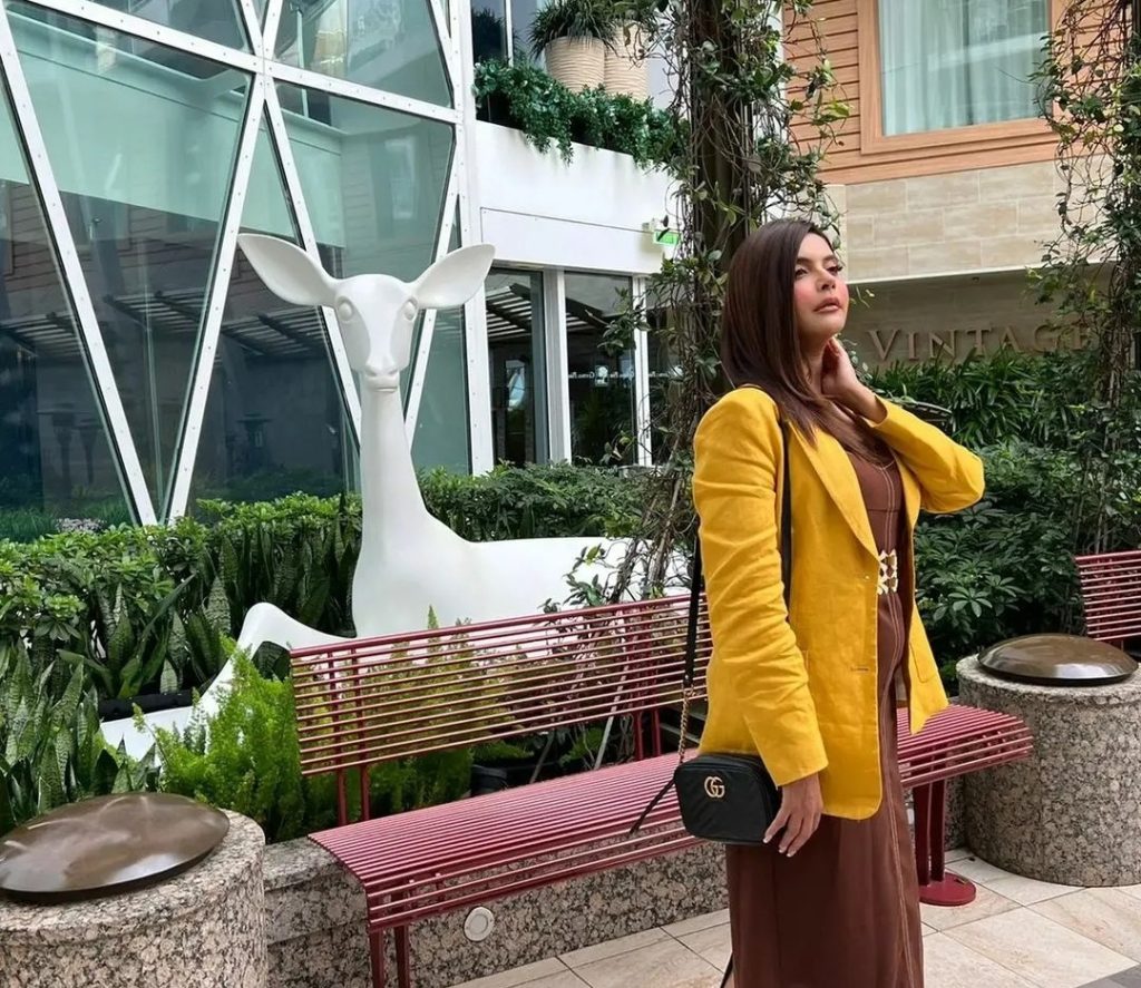 Nida Yasir's Over Posing In UAE Invites Public Criticism