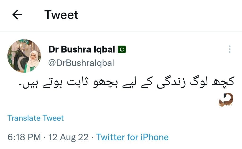 Bushra Iqbal Hints At the Real Bichoo Who Destroyed Her Happiness