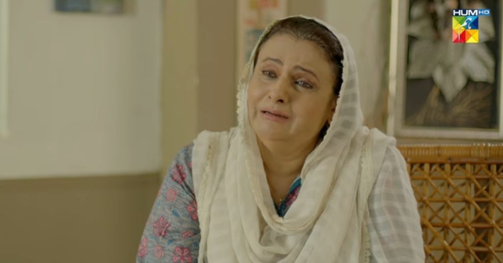 Drama Serial Nehar Last Episode Public Reaction