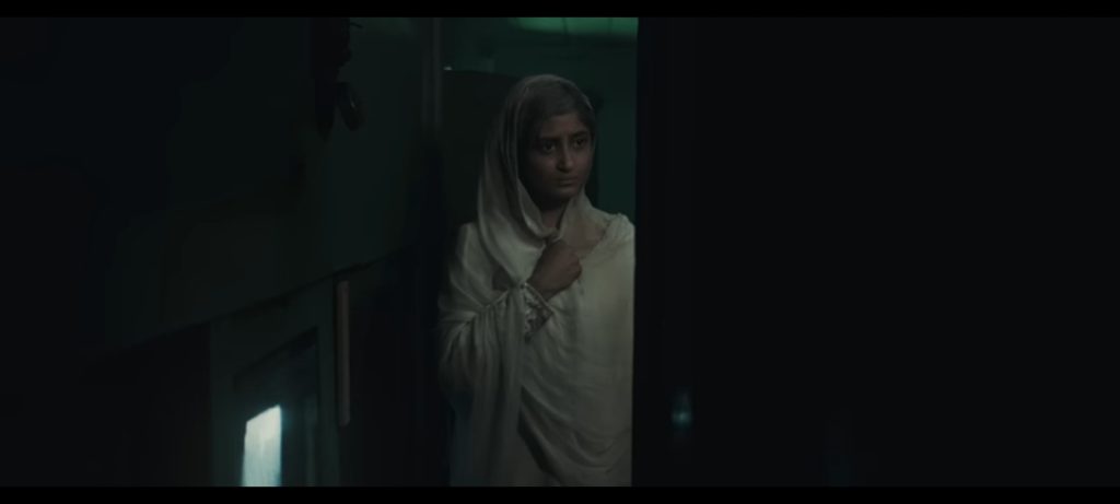 Public Applauds Prologue Of Fatima Jinnah Web-Series