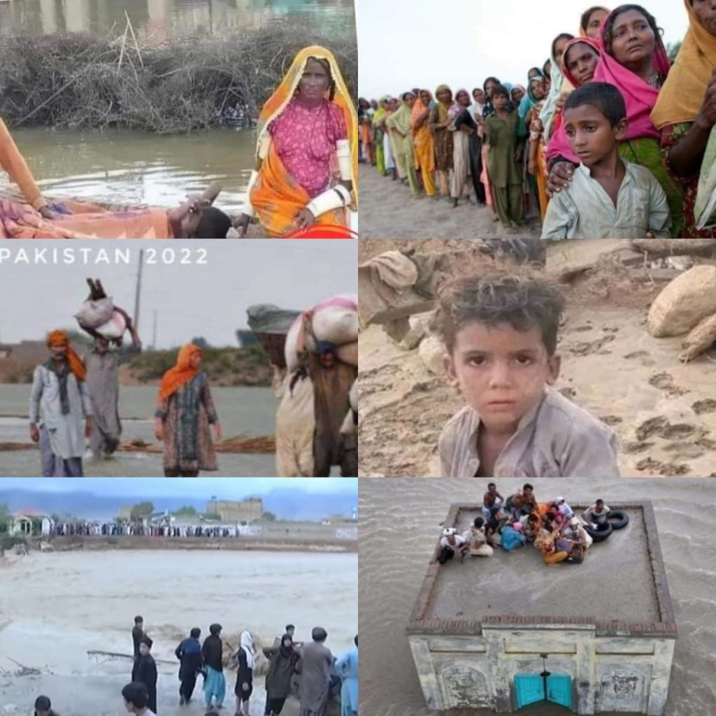 Pakistani Celebrities' Heroic Efforts For The Flood Affectees