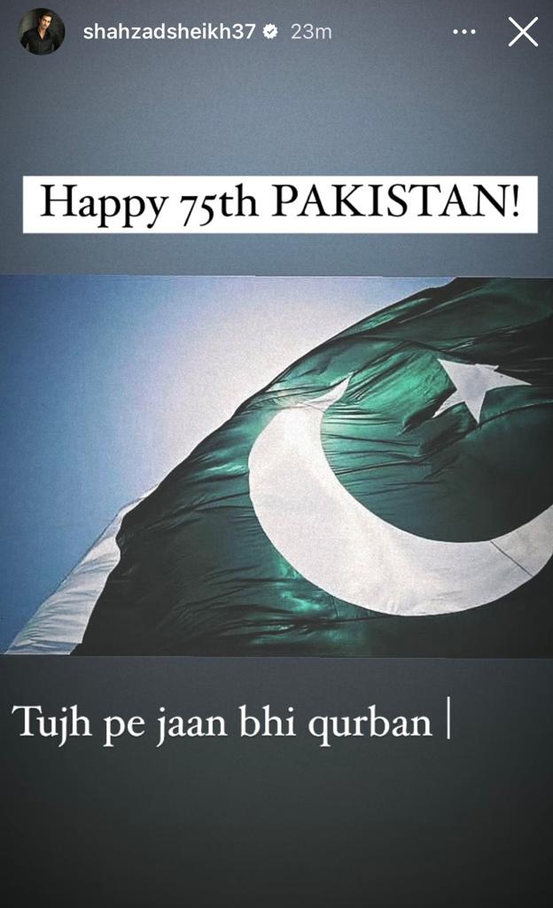 Pakistani Celebrities Share Pictures on 75th Independence Day