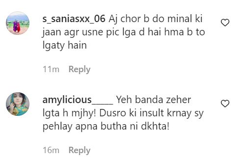 Netizens Criticize Tabish Hashmi For Trolling Minal Khan