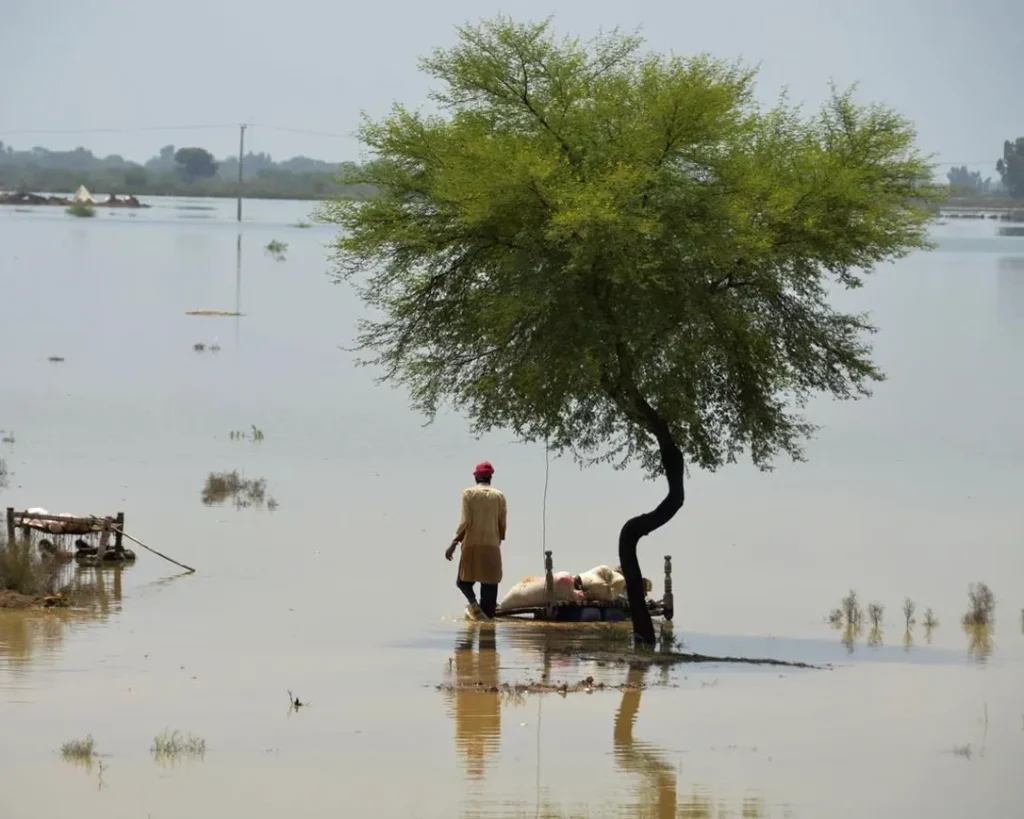 International Celebrities Extend Support For Pakistan Amidst Flood