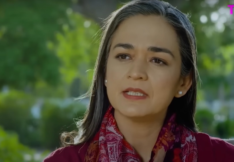 Best Pakistani Female Characters in 2022