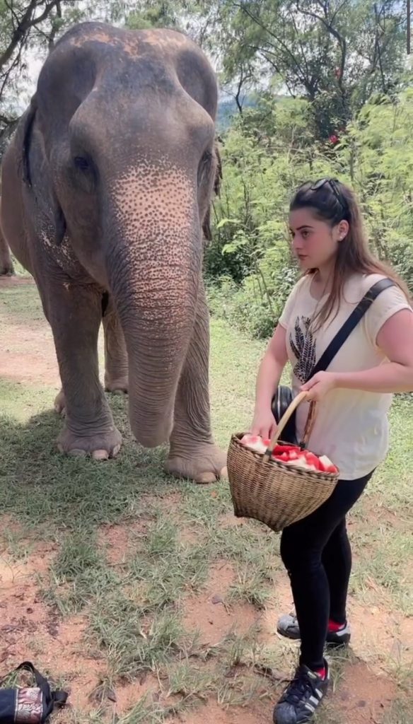 Minal Khan & Ahsan Mohsin Ikram Share New Pictures From Thailand
