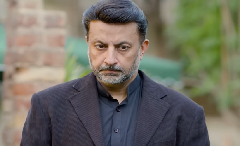 Best Pakistani Male Characters in 2022