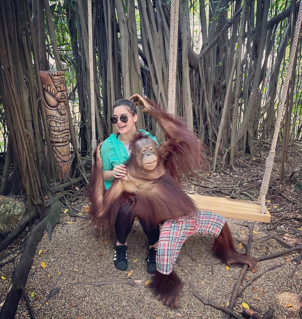 Minal Khan And Ahsan Mohsin Ikram Enjoy Safari In Thailand