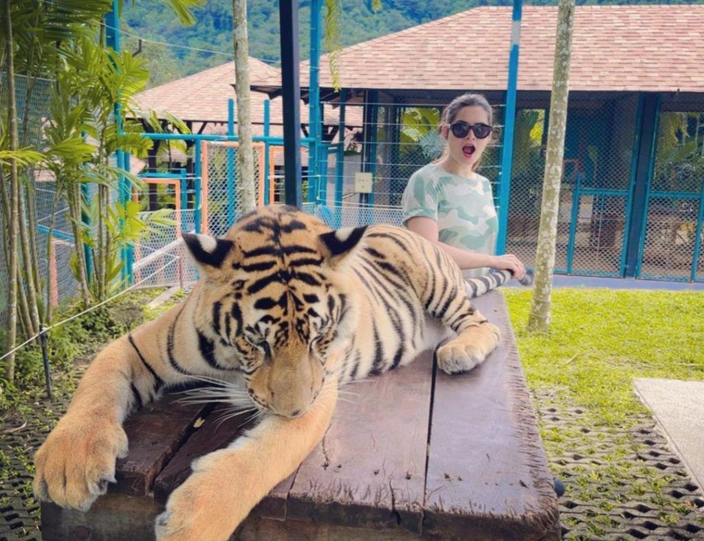 Minal Khan & Ahsan Mohsin New Clicks From Tiger Park , Phuket Thailand