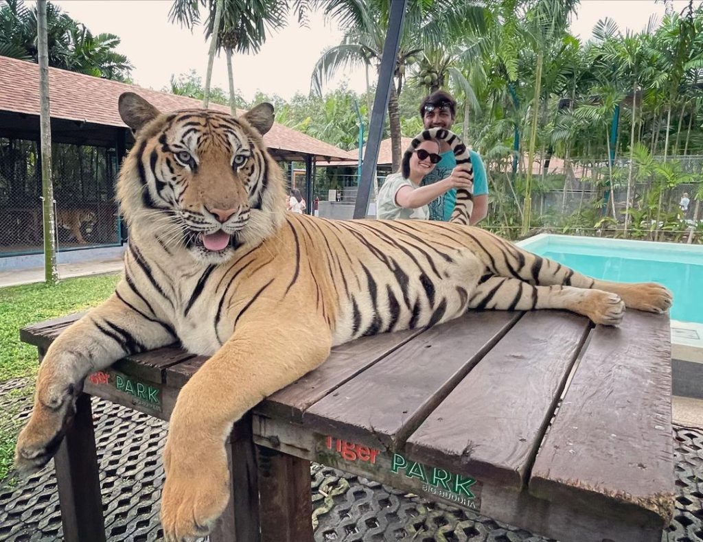 Minal Khan & Ahsan Mohsin New Clicks From Tiger Park , Phuket Thailand