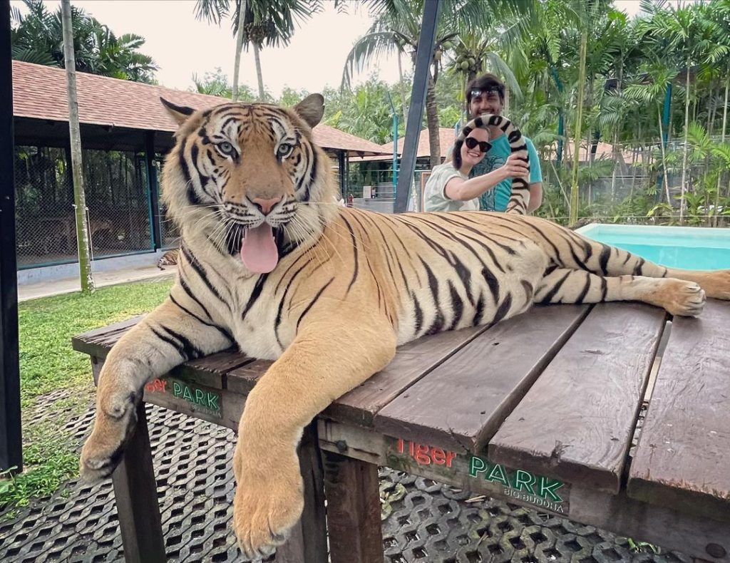 Minal Khan & Ahsan Mohsin New Clicks From Tiger Park , Phuket Thailand