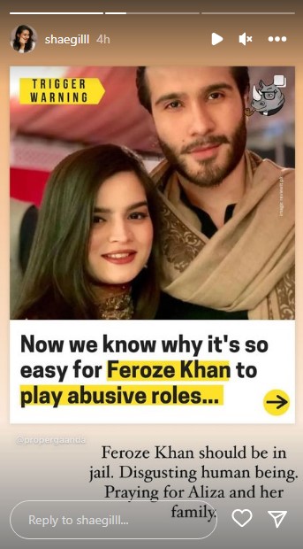Celebrities Raise Voice For Feroze Khan's Ex-Wife Syeda Aliza Sultan