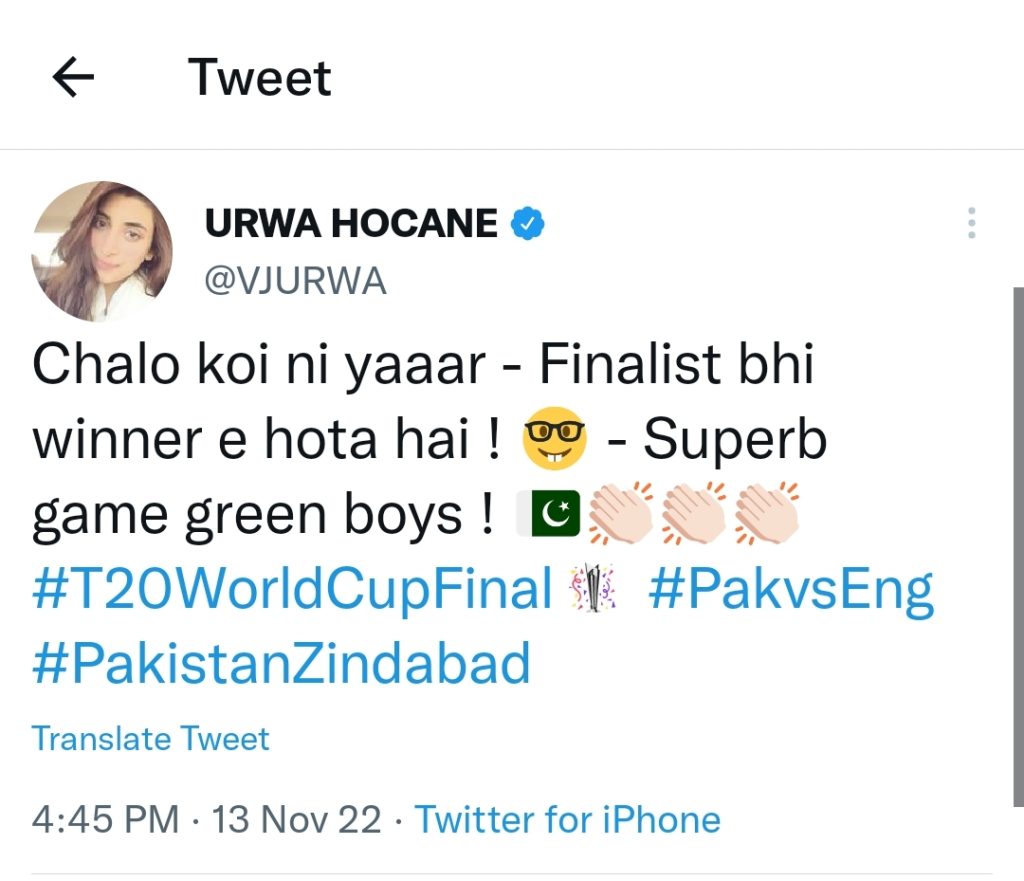 Pakistani Celebrities Reaction On Team's Performance in Final