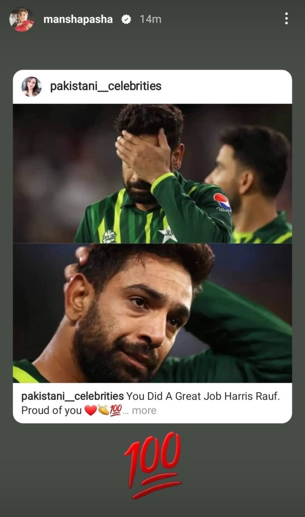 Pakistani Celebrities Reaction On Team's Performance in Final