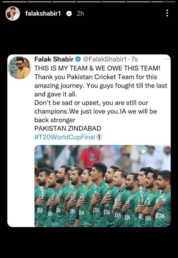 Pakistani Celebrities Reaction On Team's Performance in Final