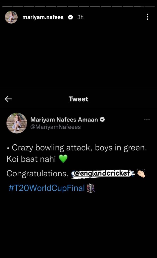 Pakistani Celebrities Reaction On Team's Performance in Final