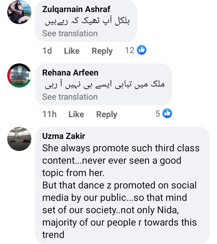 Syed Ali Haider Criticizes Nida Yasir For Promoting Dil Ye Pukare Aaja Girl