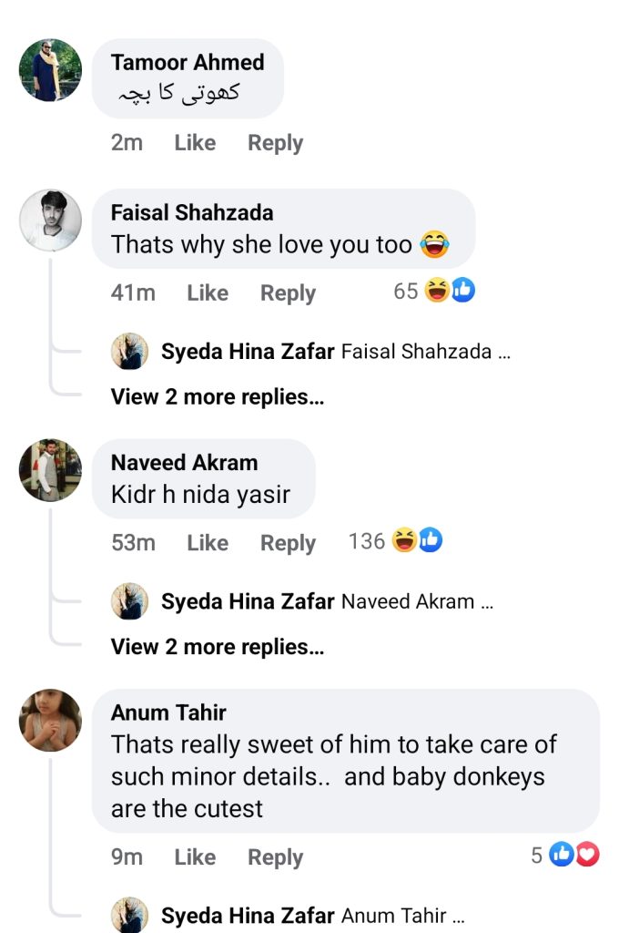 Funny Public Reaction on Azlan Shah Gifting Foal to Wife