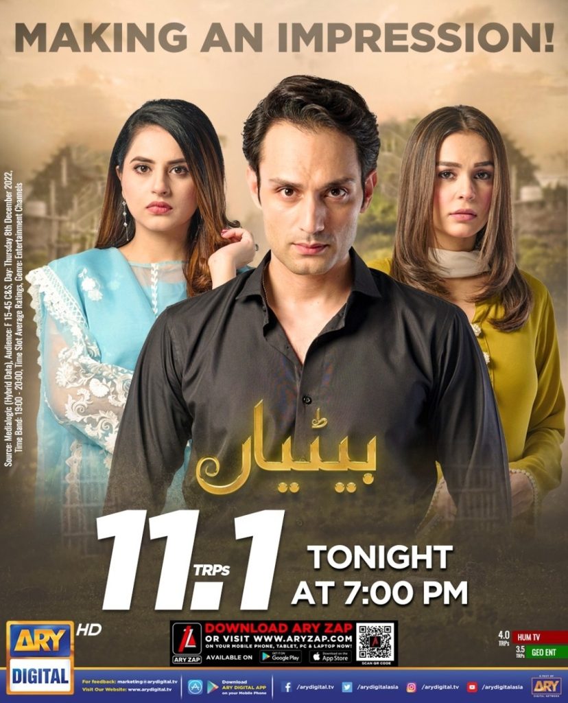 highest rated pakistani drama in 2022